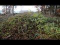 Viereckschanze Aiglsbach