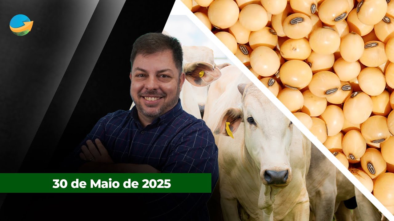 Cotações da arroba do boi voltam a subir em importantes praças fora de SP; Óleo recua mais de 3%...