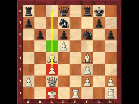 magnus carlsen