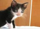 Very little Suby