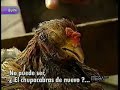 EL CHUPACABRAS en Hola Andrea y Alberto Urquiza