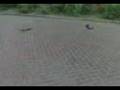 RC DRIFTING