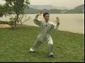 37 Yang taiji by Ding Shui-de 37 Yang taiji by Ding Shui-de