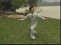 37-Yang-taiji-by-Din