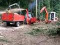 Holz häckseln