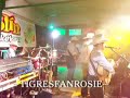 LOS CACHORROS DE JUAN VILLARREAL