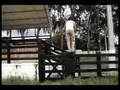 Le Parkour Crato
