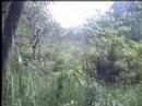 Chitwan Collaboration: National Park Buffer Zone