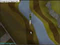 Runescape glitch.