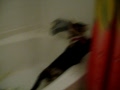 C.C and Fat's cat fight