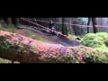 Borderline rd1 Innerleithen Trailer by MJMD Productions