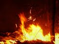 bombeiros voluntários de almeirim incêndios  portugal