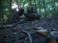 Axial Forest-Scorpion