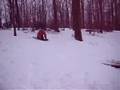 crazy sled jump