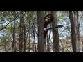 CSS - The Forest Rapist