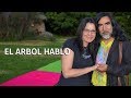 EL ARBOL HABLO 