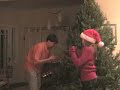 Tannenbaum (our evergreen coniferous tree) Tannenbaum (our evergreen coniferous tree)