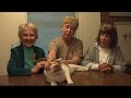 Trap-Neuter-Return at Willow Lake Estates