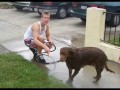 See video