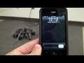 Sixaxis Controlled Hexapod