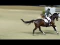 Click here to watch this video Majyk Equipe - Hap Hansen on Archie Bunker Del Mar National