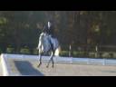 Elisa and Faris Dressage Test at Poplar