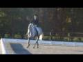 Elisa and Faris Dressage Test at Poplar