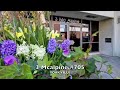 3 Mc Alpine #705 Yorkville