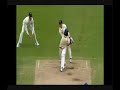 Flying Stumps Montage v2
