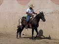 Doma de Caballos en Los Cabos \"Beduina\" Cap.2