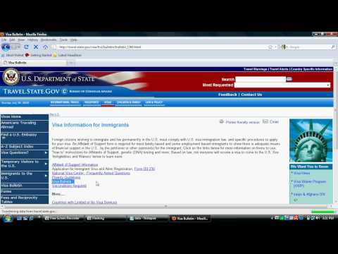 how to check visa status