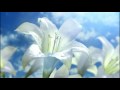 Hokuto Musou (Fist of the North Star) Teaser Trailer