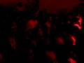 videos de Mueve las pompas - Fiesta Pel