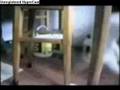 Cat Slideshow