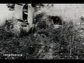 video of a car crash