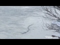 <p>Mythical Lake creature caught on film in Iceland - February 9, 2012</p> <p>Mythical Lake creature caught on film in Iceland - February 9, 2012</p>