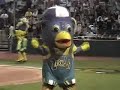 Kane County Cougars Entertainers