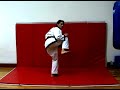 How to Do Advanced Kicks in Soo Bahk Do : The Spinning Back Kick in Soo Bahk Do