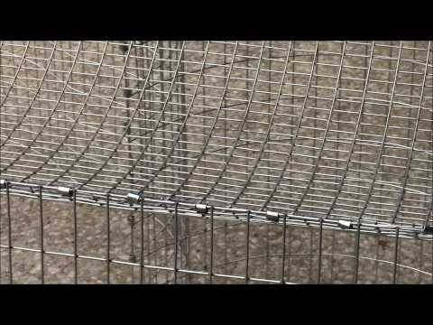 how to build rabbit cages