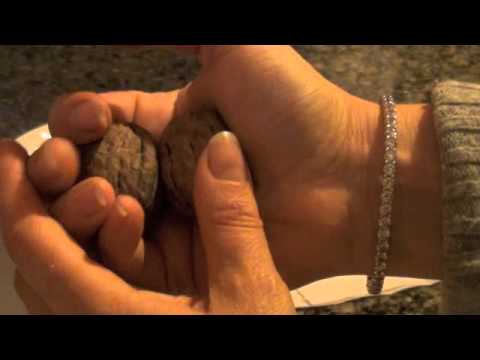 how to harvest walnuts by hand