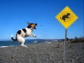 Funny Signs 2