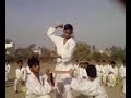 International,Kyokujitsu,Isshinryu
