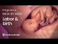 Labor and Birth | BabyCenter Video