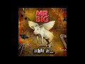 Stranger In My Life - Mr. Big