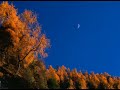 colorful-cloud-follows-moon-.html