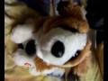 videos de locomotion ni doggy
