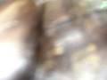 videos de 100_8542.mov