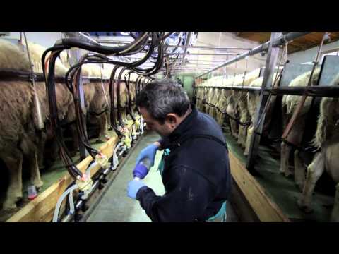 Imagen de previsualización de YouTube