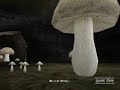 チュートリアル動画