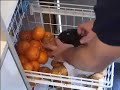 How to clean your house How to clean your house